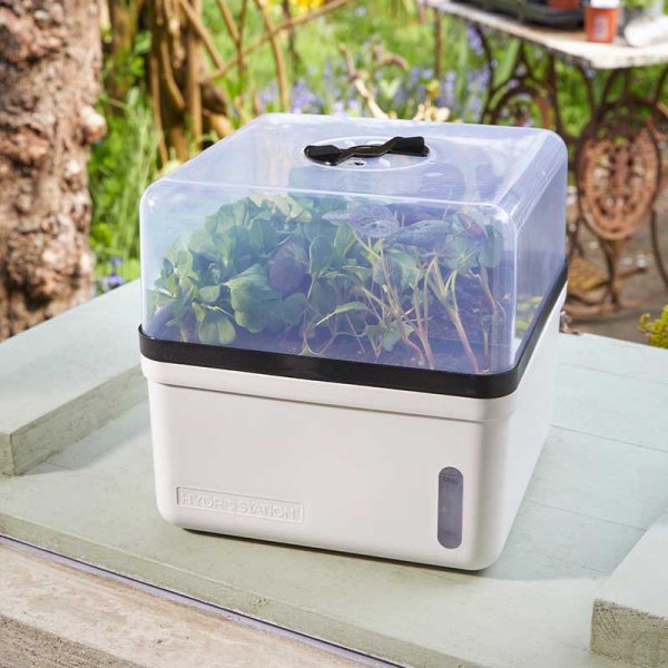 Mini Greenhouse Self Watering Propagator Outdoor Raised Planter Garden Flower Herb 6515000