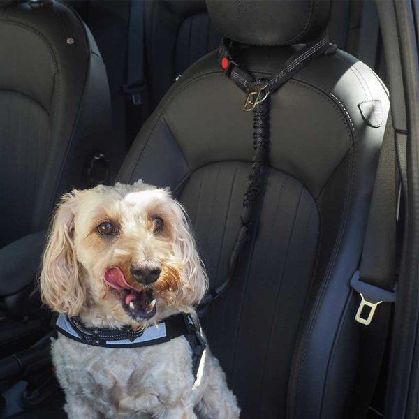 Dog Seat Belt harness Car Headrest Dog Car Seat Belt Adjustable Harness