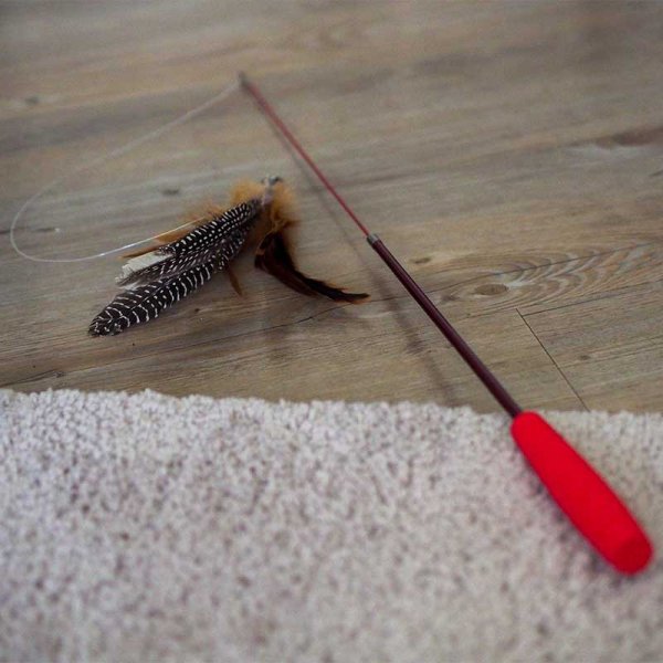 Cat Tickle Teaser Stick Telescopic Zoon Feather Toy Cats