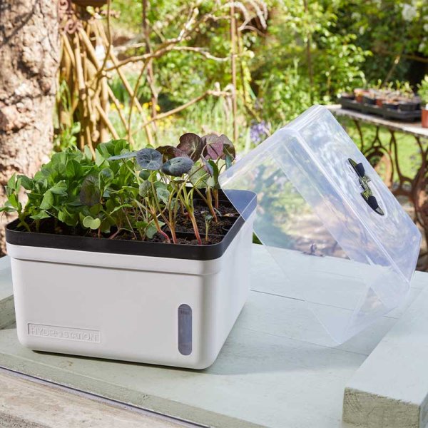 Mini Greenhouse Self Watering Propagator Outdoor Raised Planter Garden Flower Herb 6515000